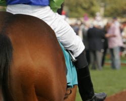 Woman riding a horse