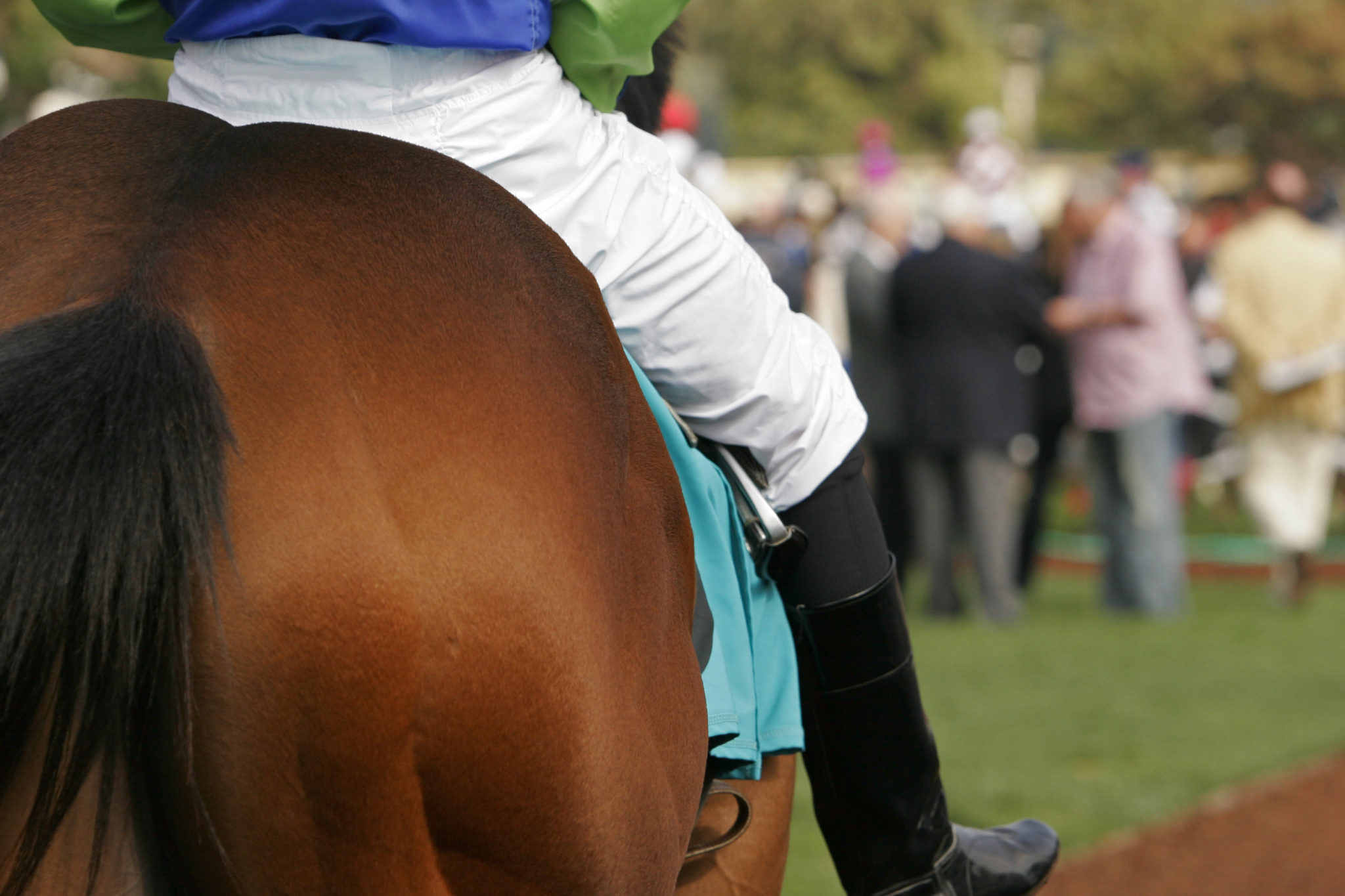 The Kentucky Derby Festival