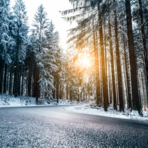 frosted winter road in the forest