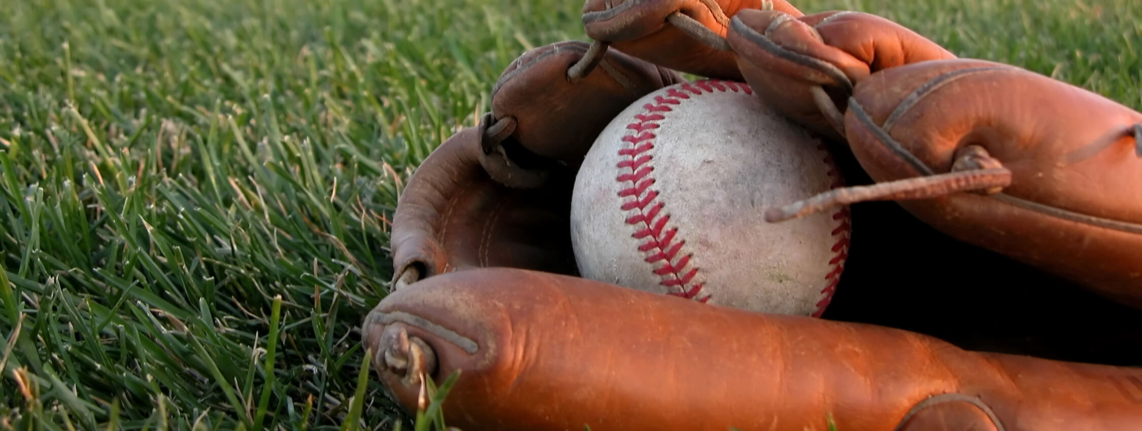 Plan a Baseball Themed Trip to Chicago