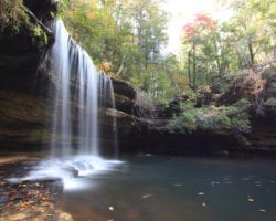 Cosas que hacer en Alabama: Echa un vistazo a un parque estatal con caídas naturales