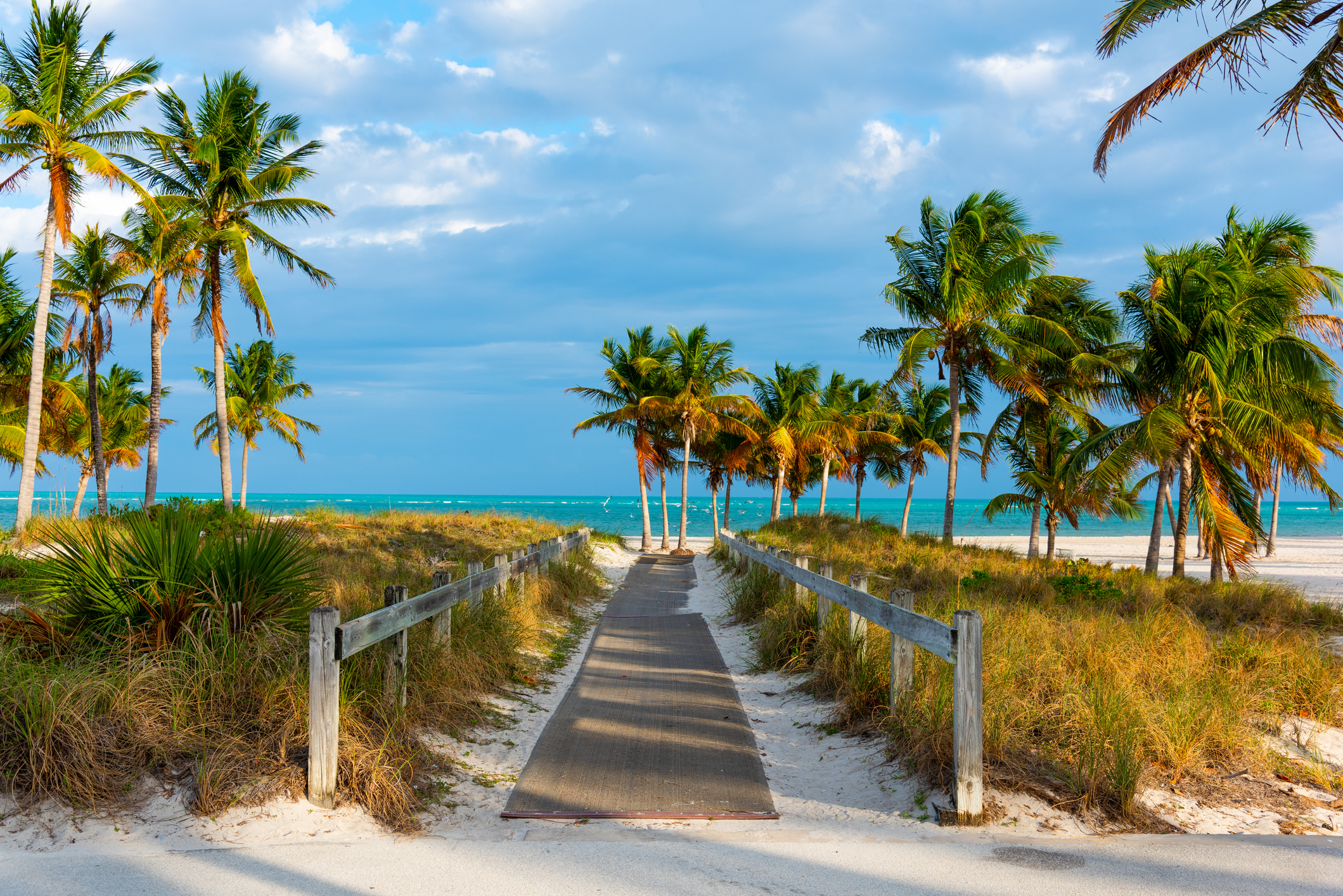 Hoteles con tarifas semanales baratas en Florida