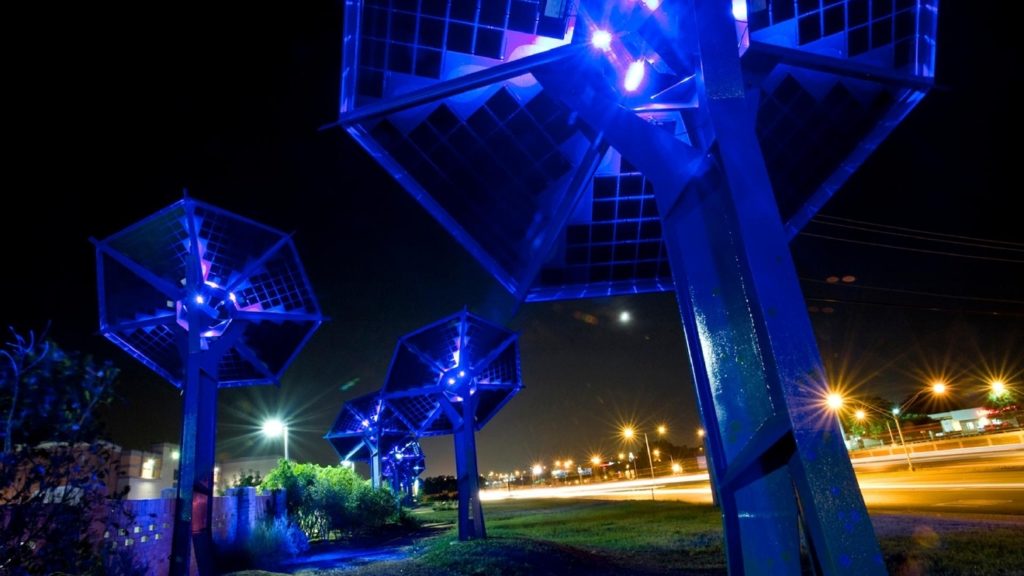 Mueller Girasoles por la noche