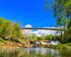 Visiting the Liberty Bridge in Falls Park is a great thing to do in Greenville, SC this Spring.