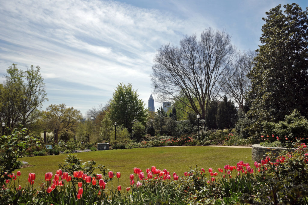 The Atlanta Botanical Gardens, a wonderful attraction to visit during spring.