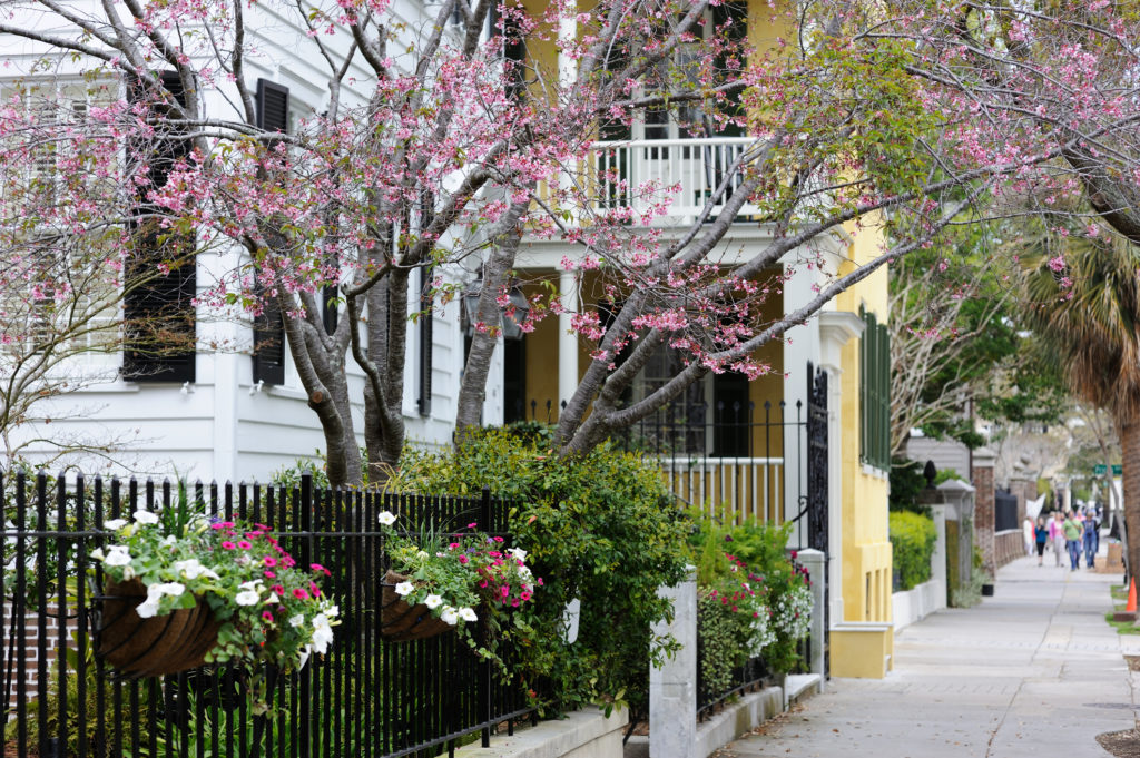 Spring time in Charleston, SC provides not only great weather but also fewer crowds. 