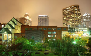 A beautiful garden in the middle of downtown Greensboro, NC.