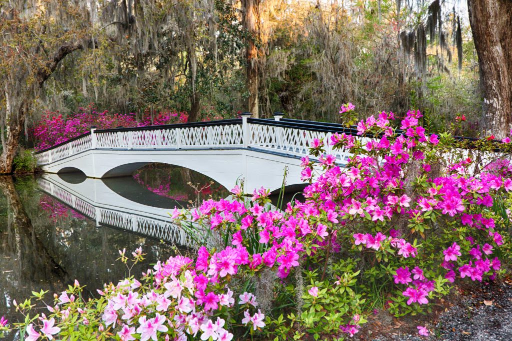 Azalea Bridge at Middleton Place in Charleston SC