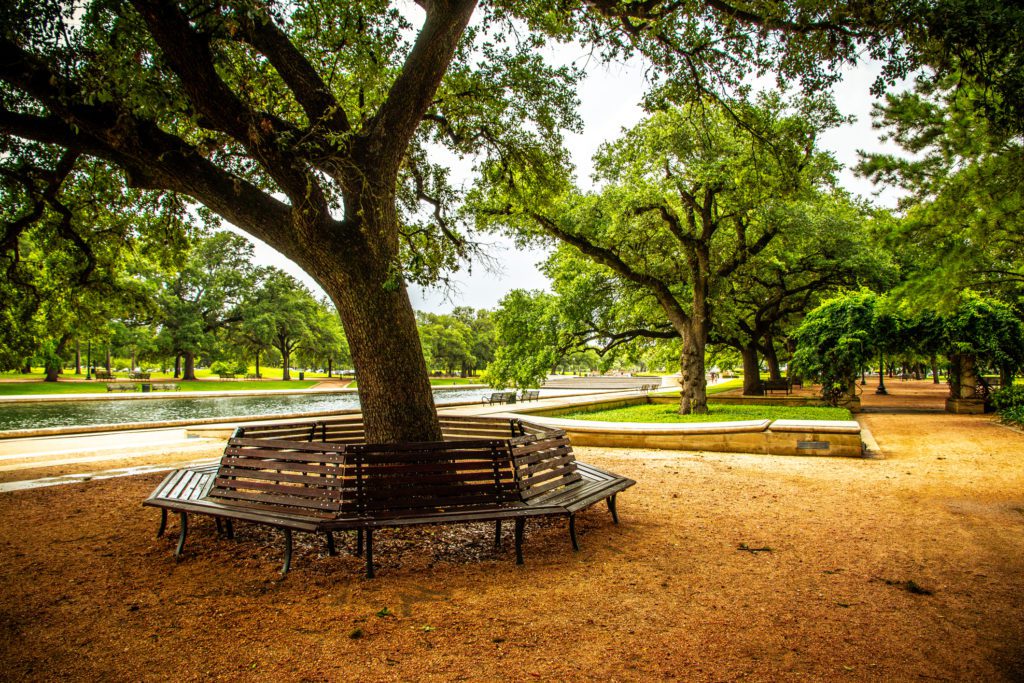 Houston is full beautiful outdoor spaces, one of the many free things to do in Houston.