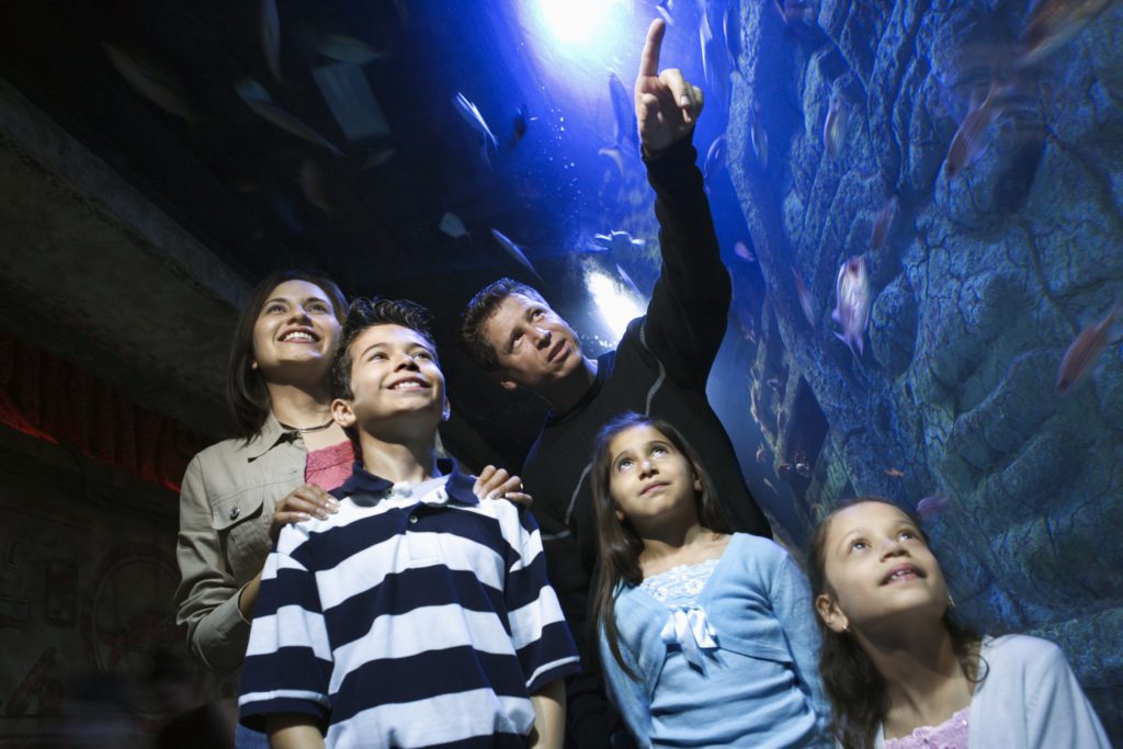 The Houston Downtown Aquarium is one of the best things to do in Houston with kids. 