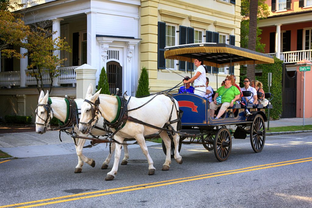 Visitors on a Charleston carriage tour of the city. 
