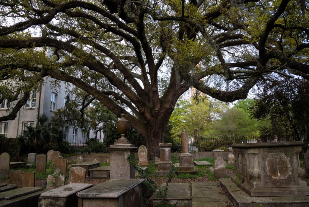 A Charleston ghost tour is a great way to explore and get to know the city. 