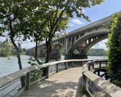 A beautiful riverwalk under the Gervais Street Bridge over the Congaree River.
